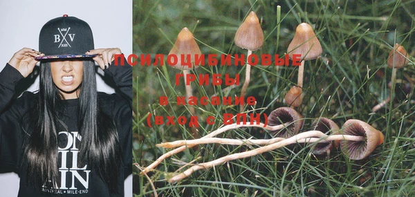 mix Бородино