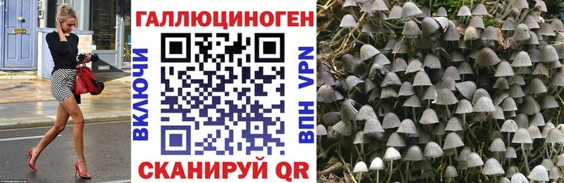 закладка  Люберцы  Галлюциногенные грибы MAGIC MUSHROOMS 