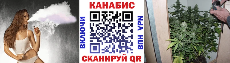 Бошки марихуана SATIVA & INDICA  Люберцы 